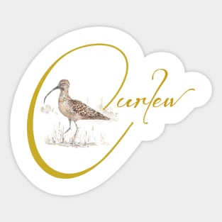 C is for Curlew Sticker